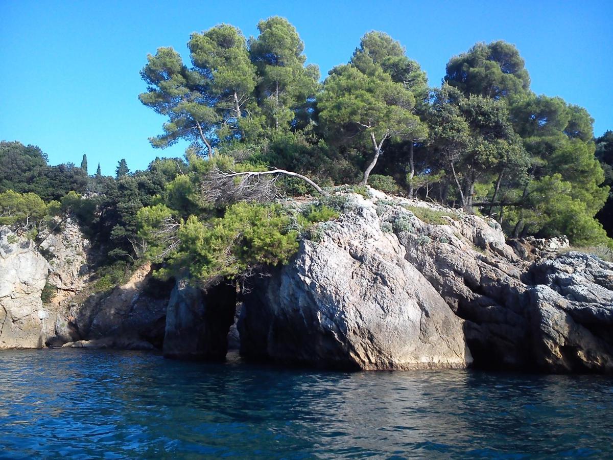 Mansard Apart Alba - Sea 5 Terre-Trekking-Excursions-Relax San Terenzo Exterior photo